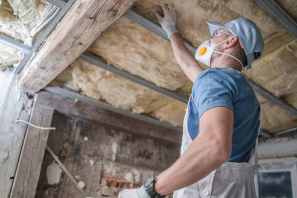 Best Types of Insulation in Meadowbrook, AL