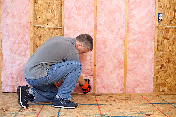 Best Commercial Insulation in Meadowbrook, AL