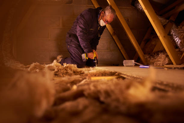 Best Insulation for Specific Applications in Meadowbrook, AL